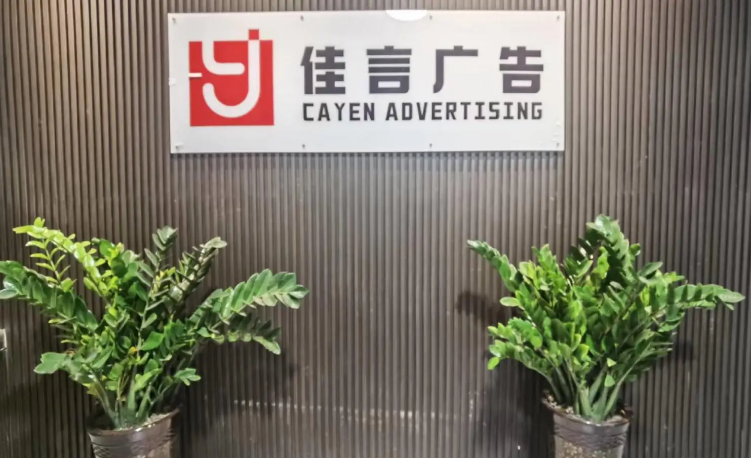 Shandong Cayen Advertising Co., Ltd. National Flag