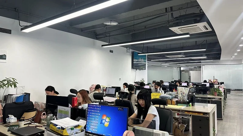 Hangzhou Yayang Industrial Co., Ltd. Chameleon Pigment