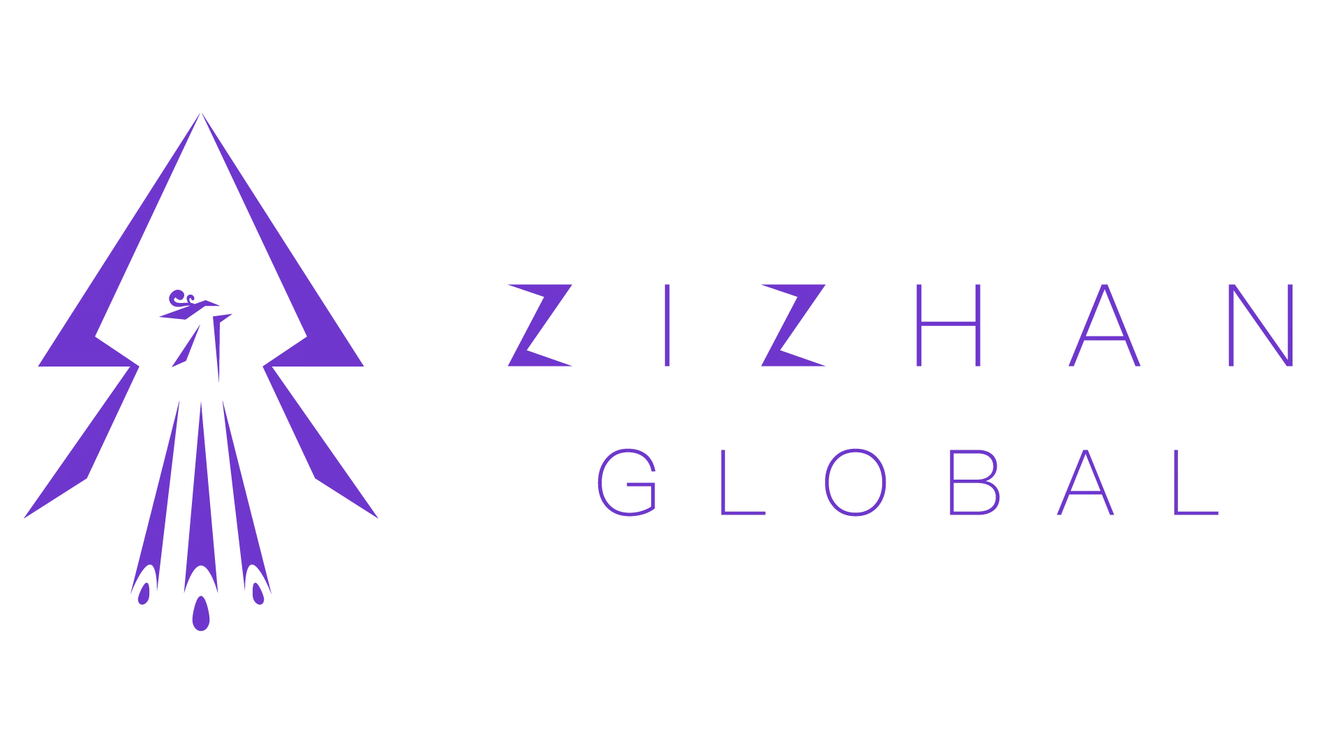 Hangzhou Zizhan International Trade Co., Ltd. logo