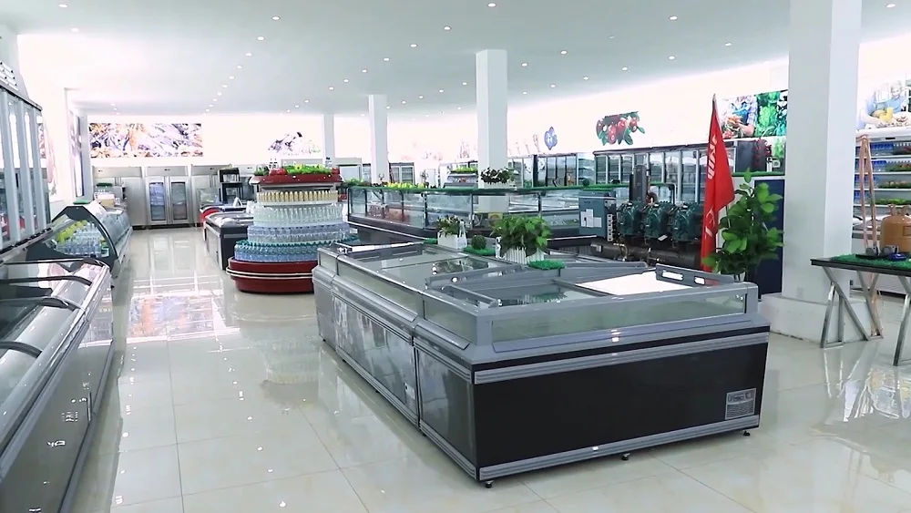 Qingdao Dusung Refrigeration Co., Ltd. Glass Door Upright Freezer
