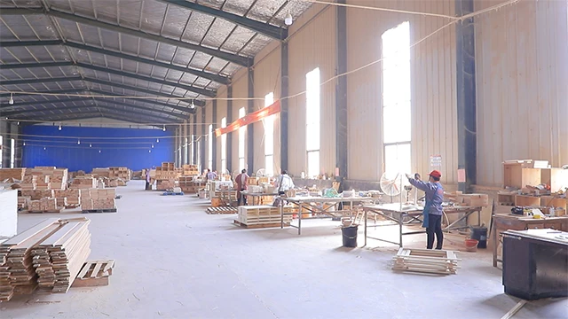 Shandong Junji Trading Co., Ltd. factory image 1