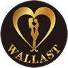 Wallast (dongguan) Industry And Trade Co., Ltd. logo