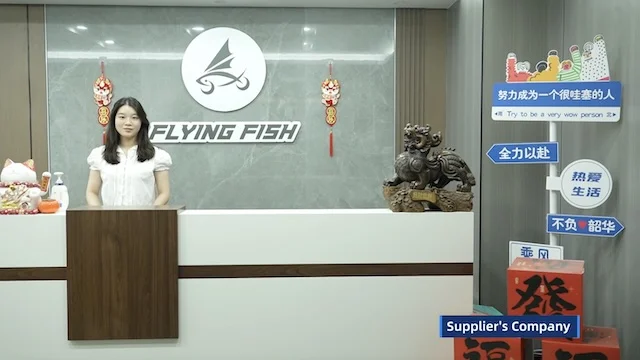 Wuhan Flying Fish Smart Cycling Technology Co., Ltd. Electric Bike