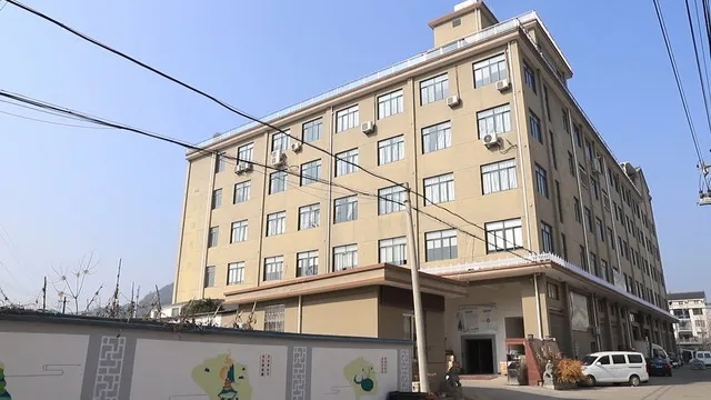 Linhai Qixiang Lighting Co., Ltd. Christmas lights