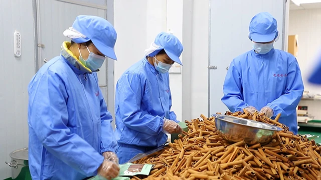 Guangxi Qingchun Food Co., Ltd. Seasoning Powder