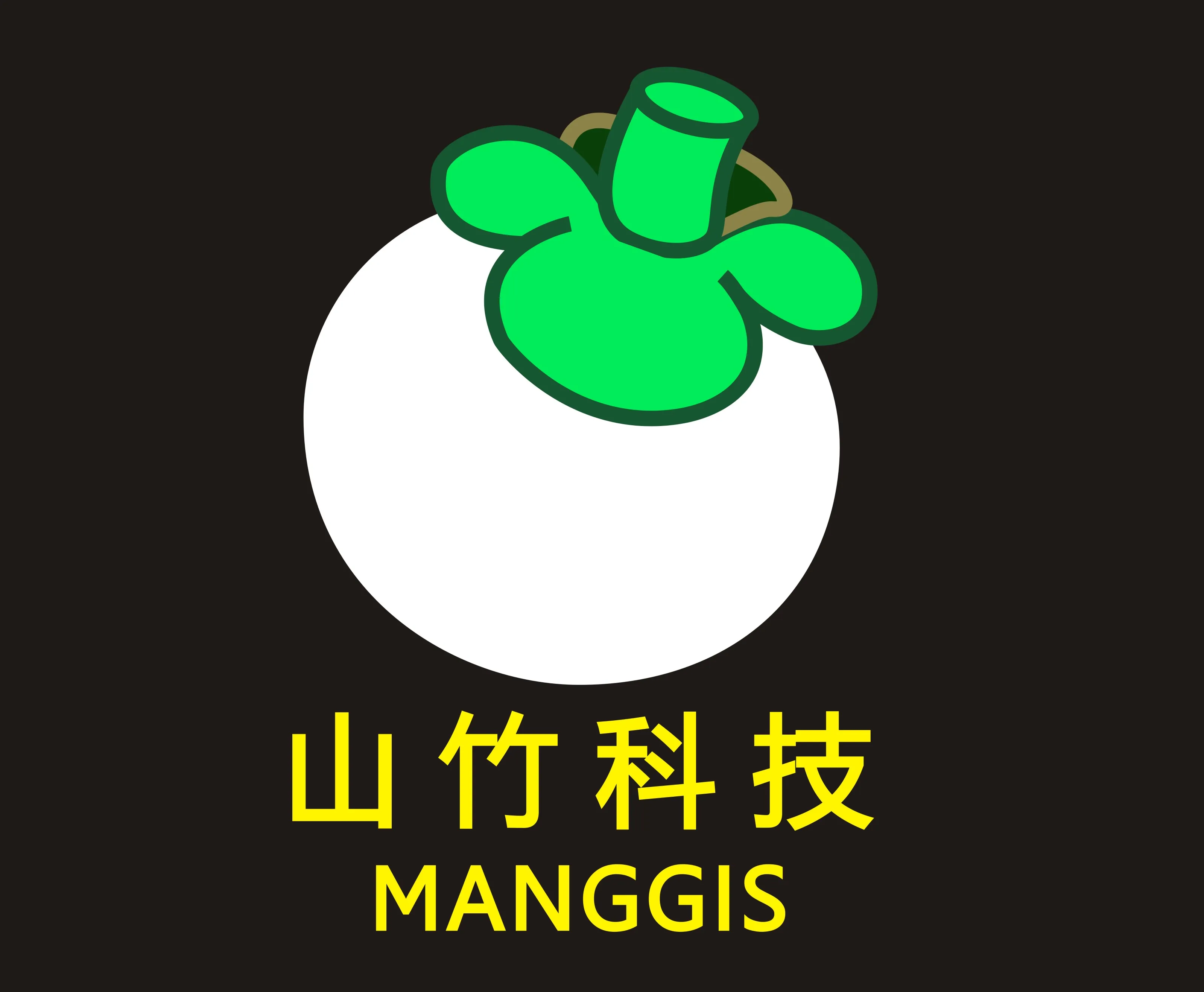 Zhongshan Manggis Electrical Technology Co. Ltd logo