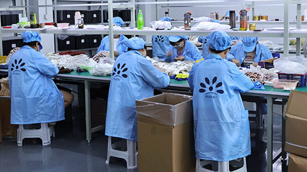 Guangzhou Xingxuancai Nail Product Co., Ltd. Dipping Powder