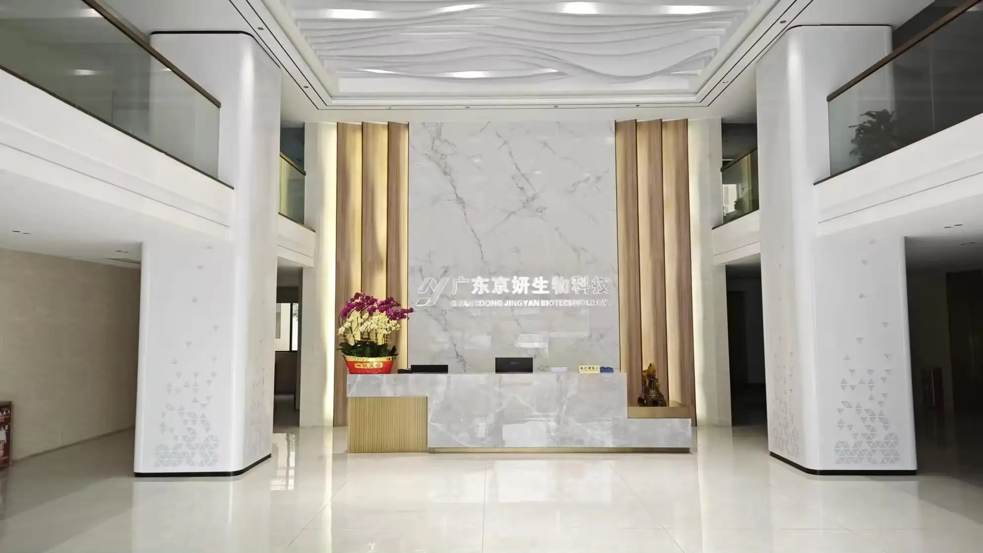 Guangdong Jingyan Biotechnology Co., Ltd. Face Cream