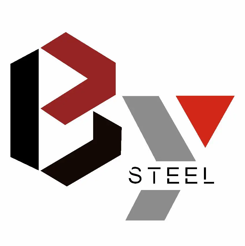 BIYING STEEL CO., LTD logo