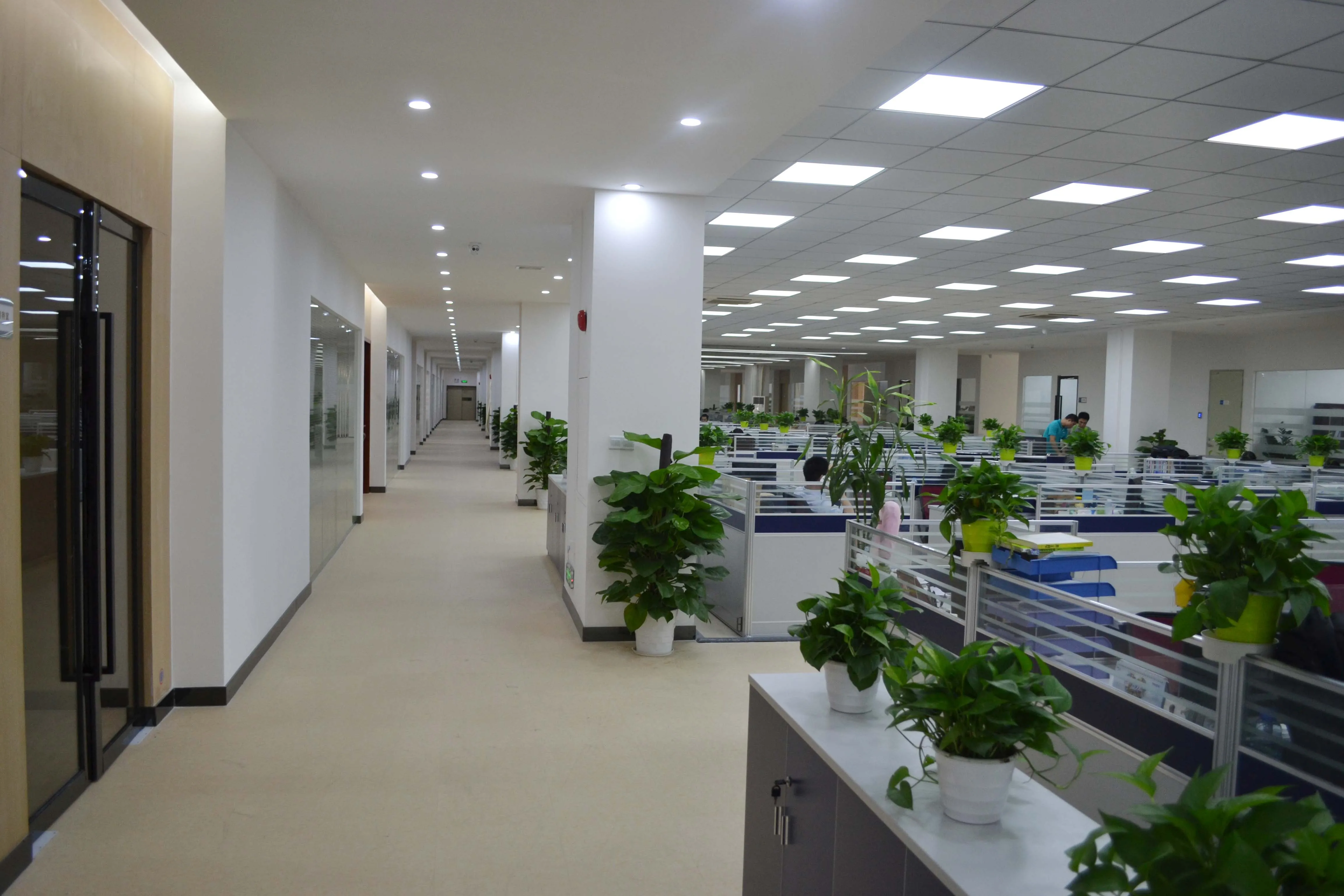 Changzhou 0091 Commodity Co., Ltd. False Eyelashes