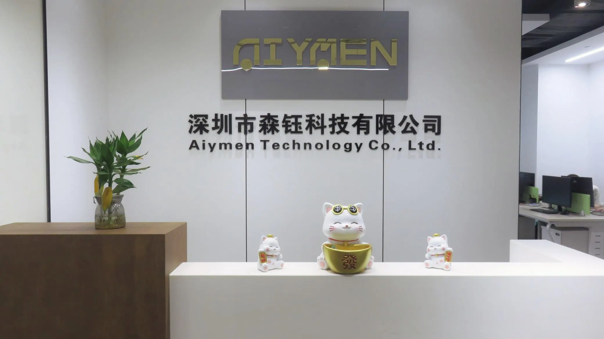 Aiymen Technology Co., Ltd. Truck Camper