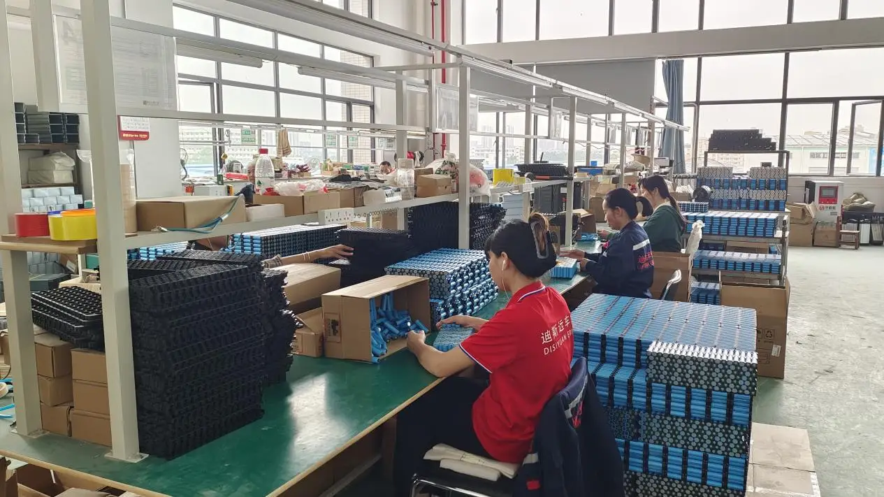 Foshan Disyuan Electric Vehicle Co., Ltd. Electric Cargo Bike