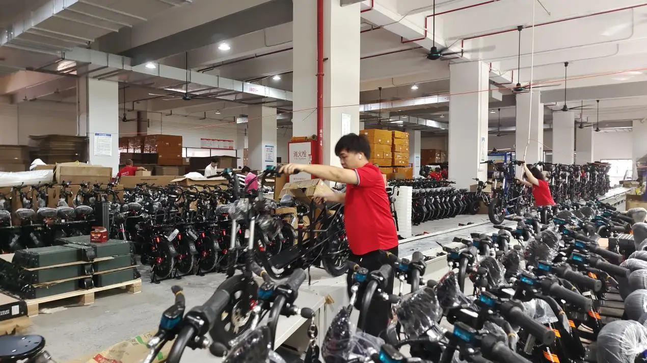 Foshan Disyuan Electric Vehicle Co., Ltd. Electric Bicycle