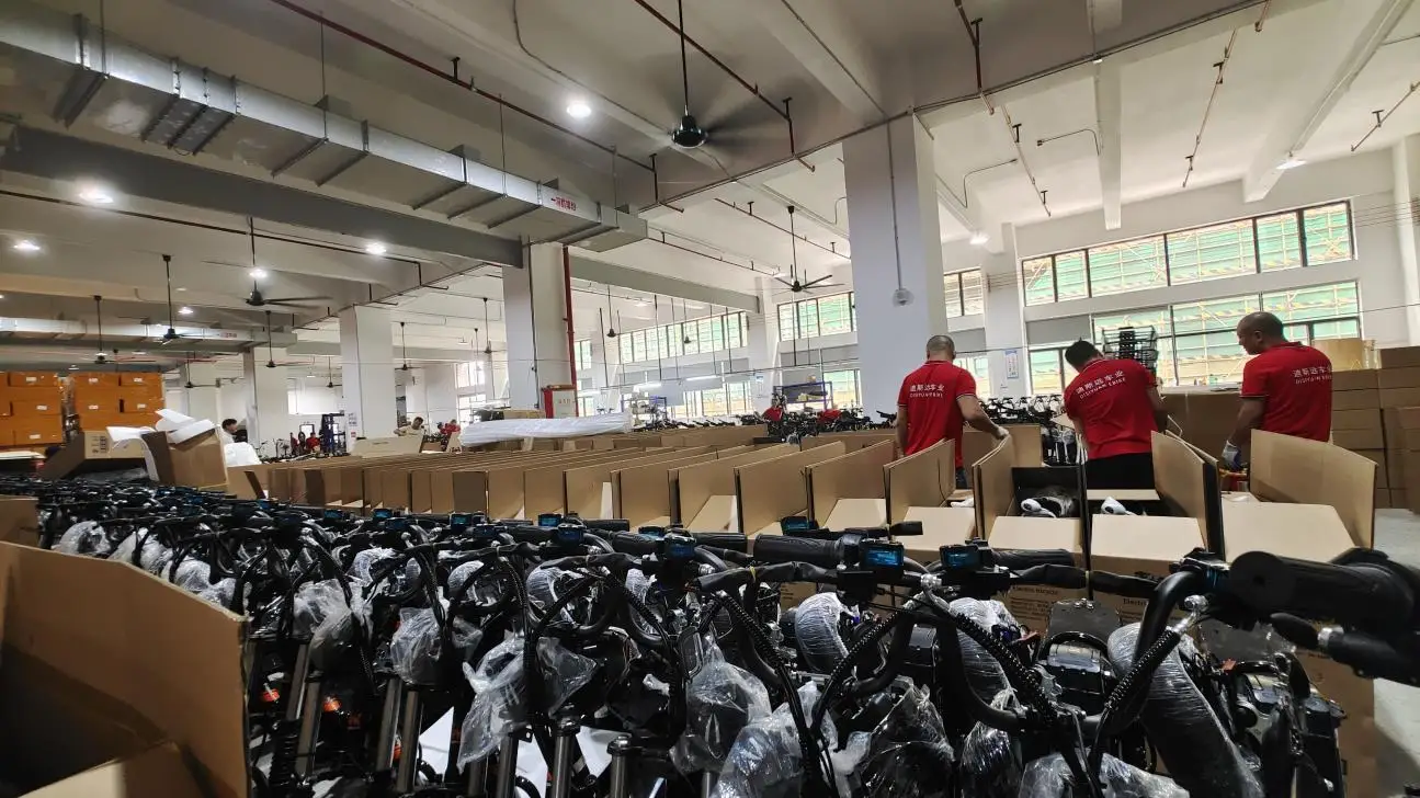 Foshan Disyuan Electric Vehicle Co., Ltd. Electric Folding Bike