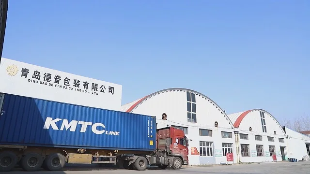 Qingdao Deyin Packing Co., Ltd. factory image 1