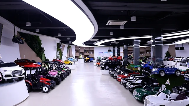 Jiaxing Welldone Industrial Co., Ltd. ride on toy car