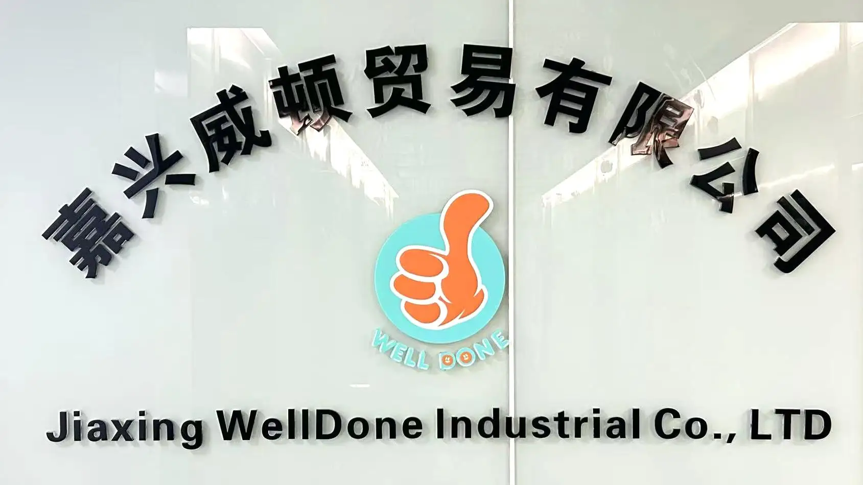 Jiaxing Welldone Industrial Co., Ltd. kids electric car