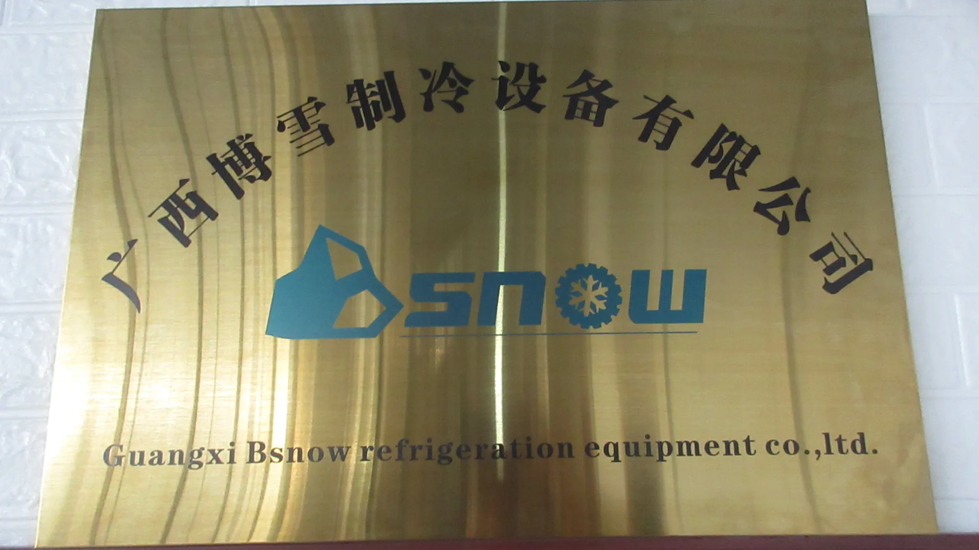 Guangxi Bsnow Refrigeration Equipment Co., Ltd. Condensing Unit