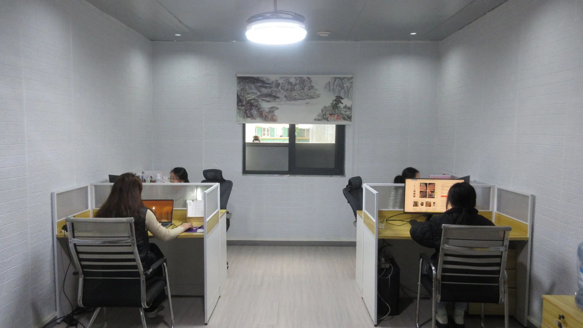 Guangxi Bsnow Refrigeration Equipment Co., Ltd. Refrigeration Compressor