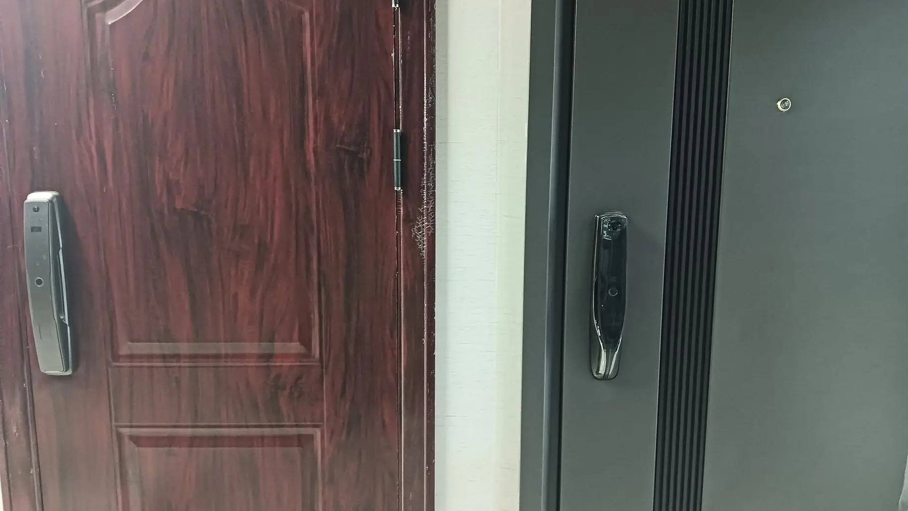 Yiwu Zhuofeng Trading Co., Ltd. Face Recognition Lock