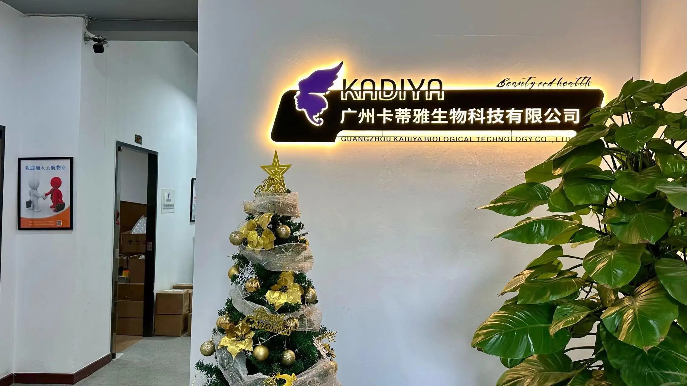 Guangzhou Kadiya Biological Technology Co., Ltd. Whitening Serum