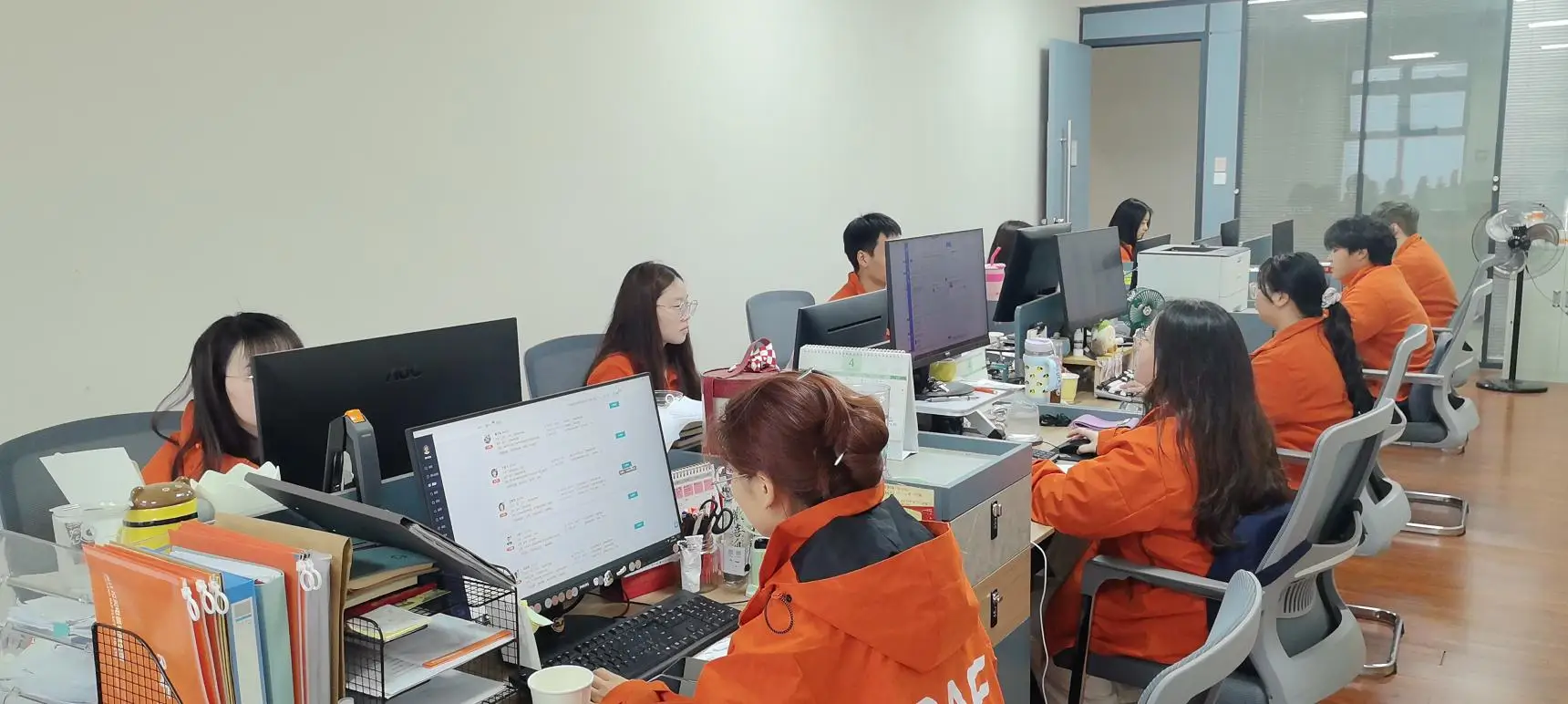 Zhejiang Raf Electric Co., Ltd. Air Fryer