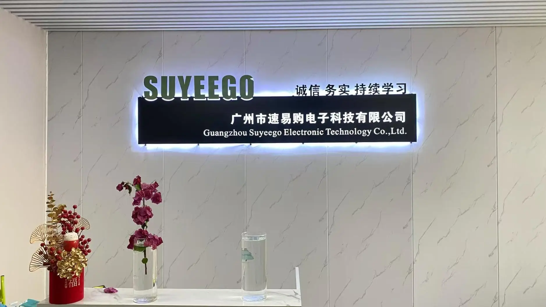 Guangzhou Suyeego Electronic Technology Co., Ltd. factory image 1