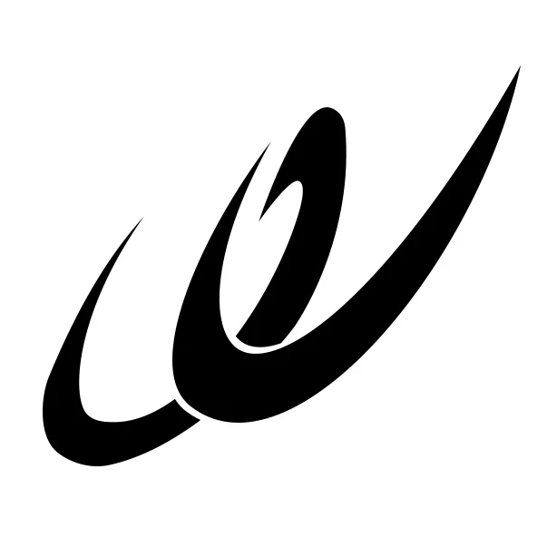 Dongguan Weijia Garment Accessories Co., Ltd. logo