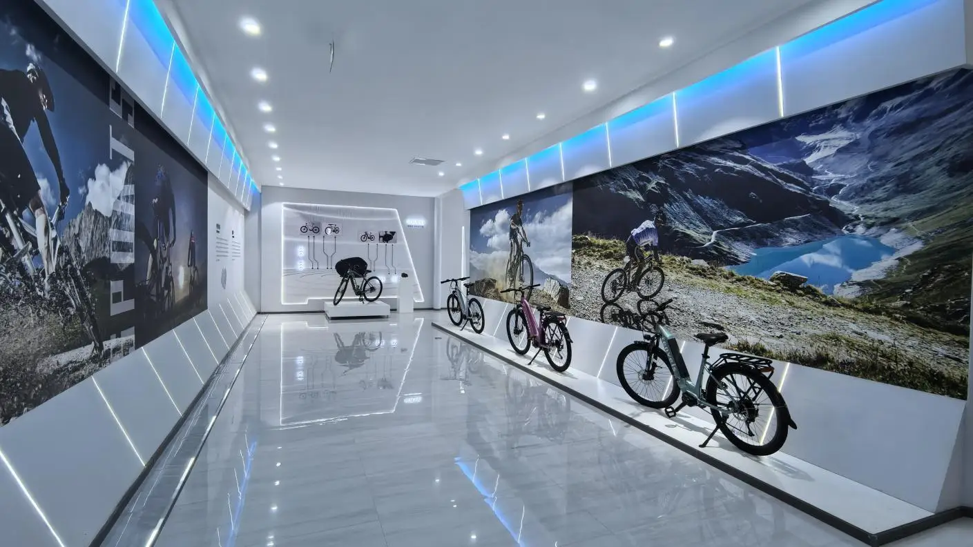 Xingtai Dalisi Electric Technology Co., Ltd. Electric Folding Bike