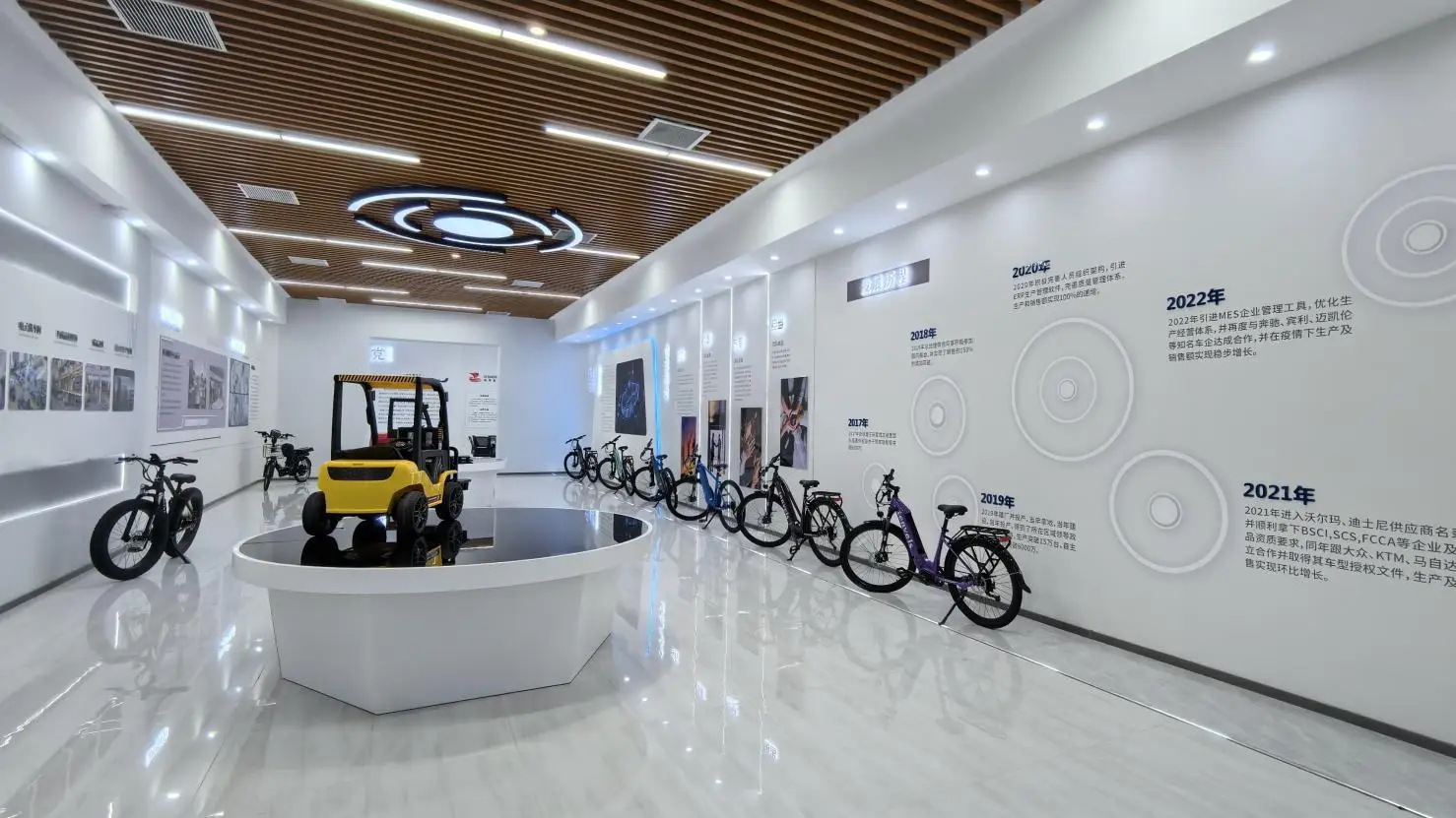 Xingtai Dalisi Electric Technology Co., Ltd. Mountain Electric Bike
