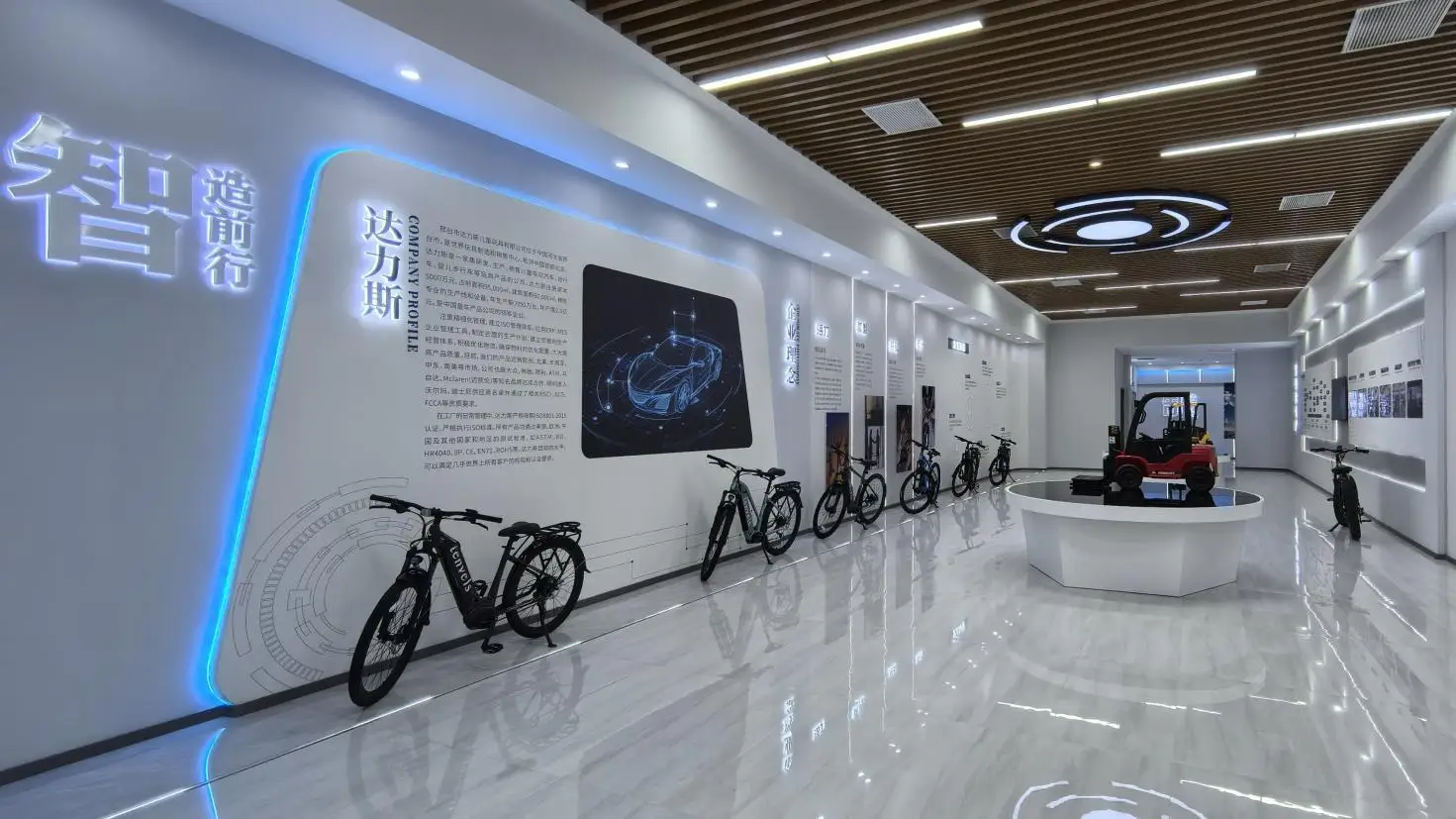Xingtai Dalisi Electric Technology Co., Ltd. City Leisure Electric Bike