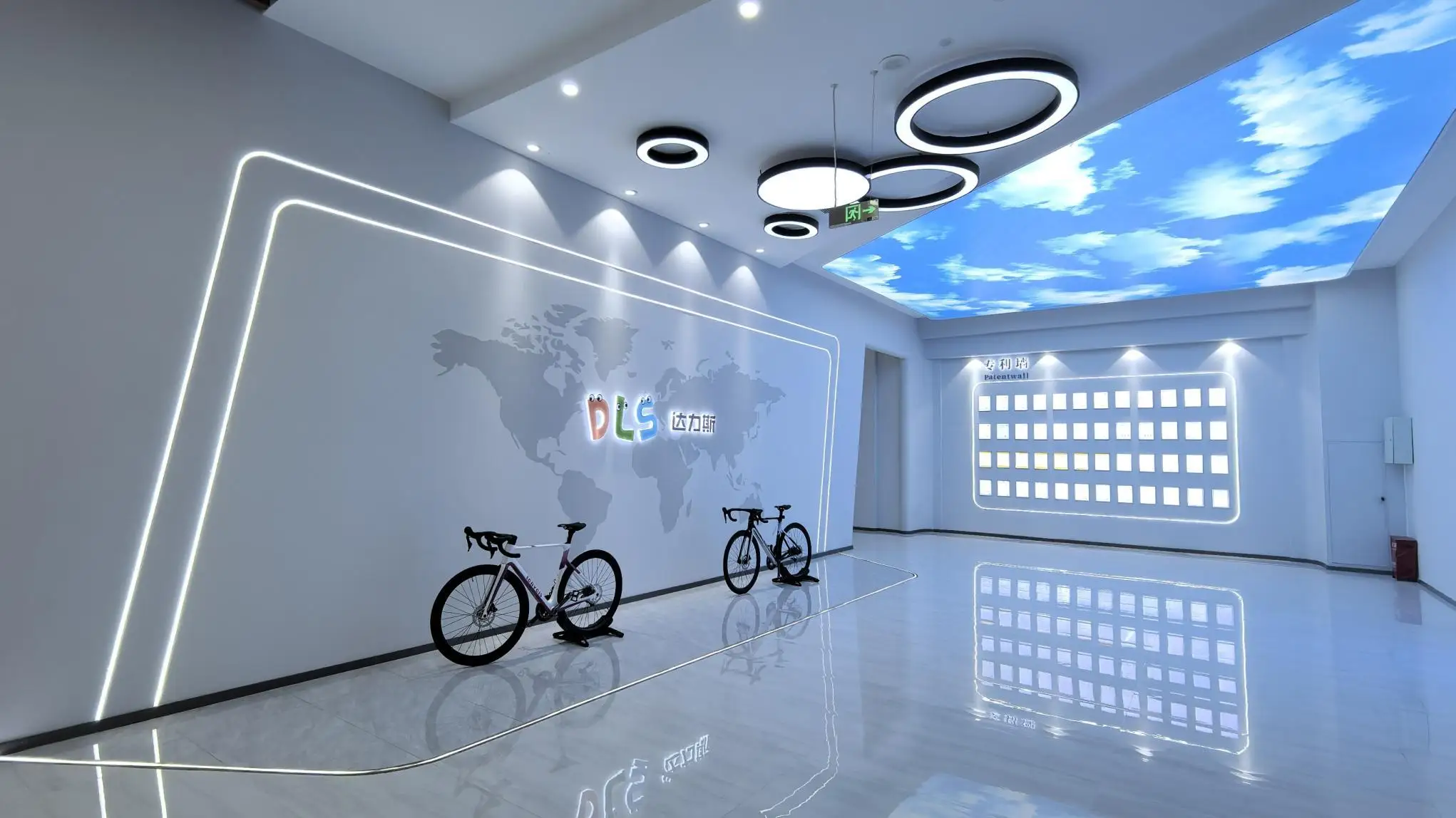 Xingtai Dalisi Electric Technology Co., Ltd. Electric Bike