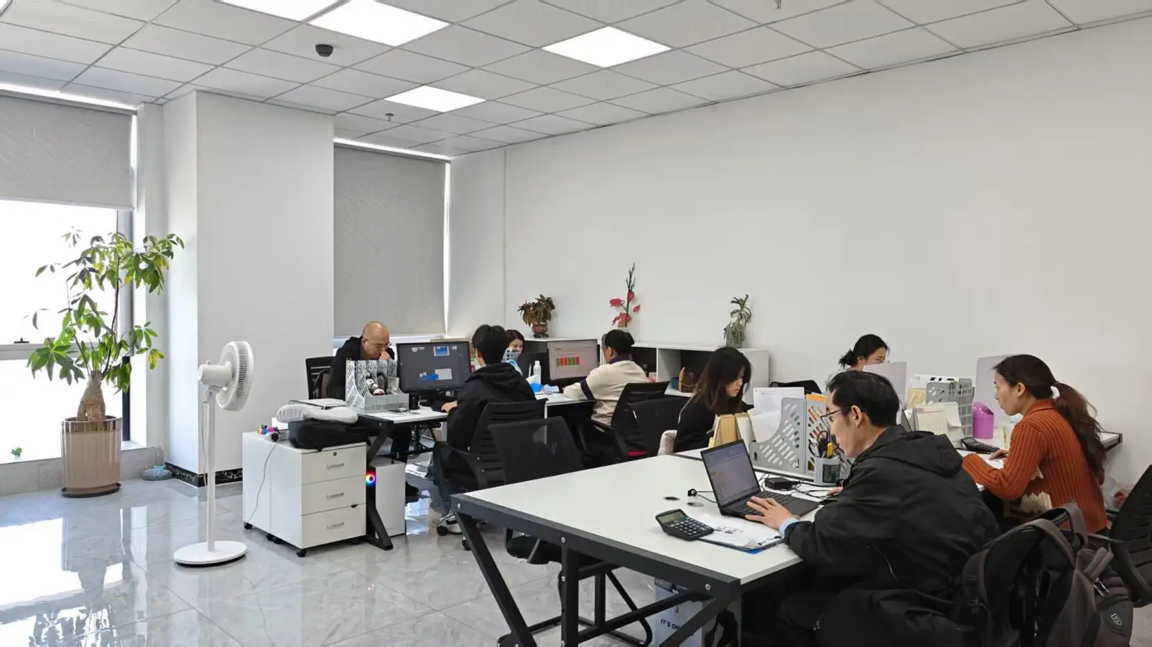 Xiamen Verinno Sporting Goods Co., Ltd. Softball