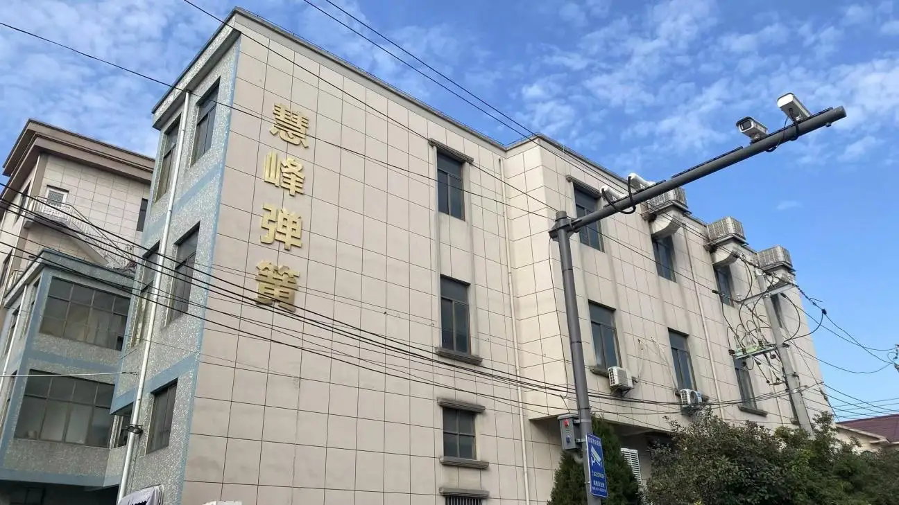 Cixi Zhouxiang Huifeng Spring Factory Torsion spring