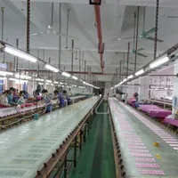 Shenzhen Foksy Industry Co., Ltd. Automatic Watches