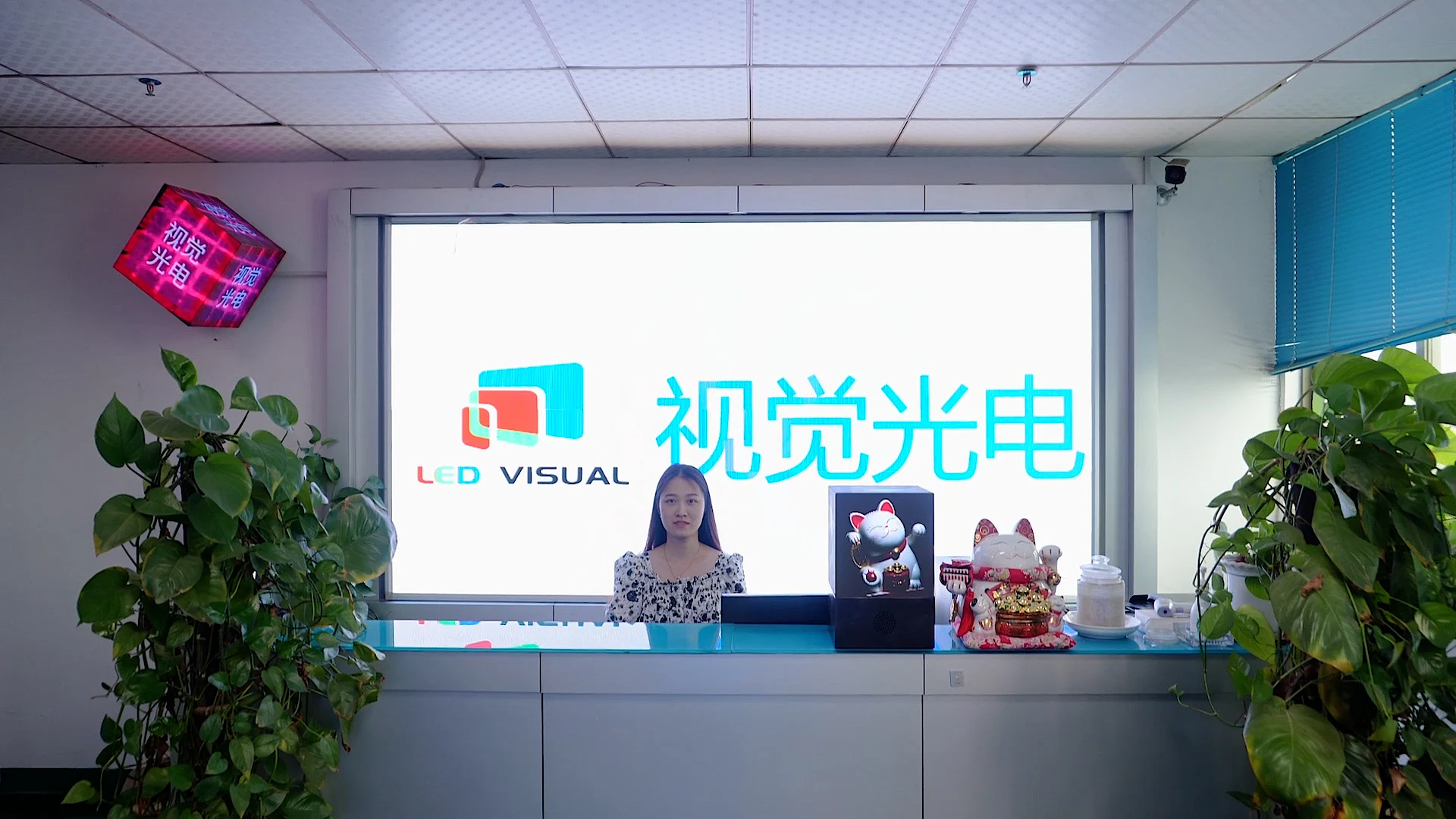 Shenzhen LED Visual Photoelectric Co., Ltd. LED Module