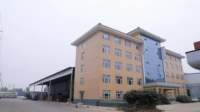 Shandong Longzheng Wood Industry Co., Ltd. factory image 1