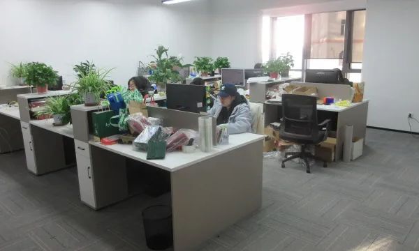 d59jl4qmbgfs73a6u01g.webp