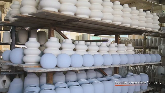 Xiamen Dashuiwa Network Technology Co., Ltd. Ceramic Vases