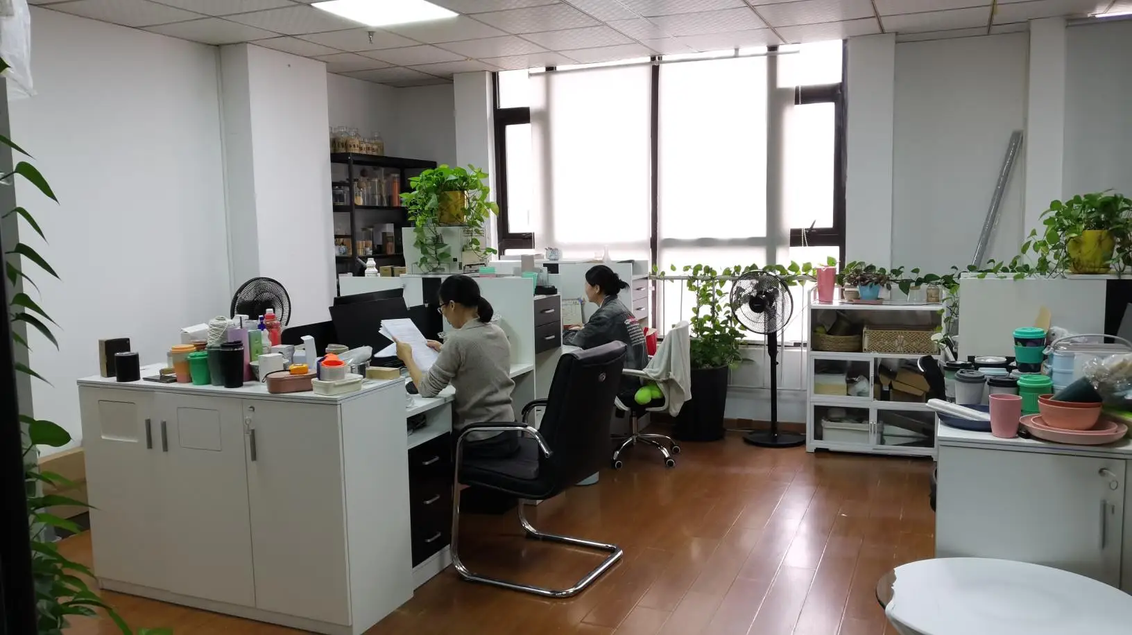 Anhui Bochen Technology Co., Ltd. Bamboo Tableware