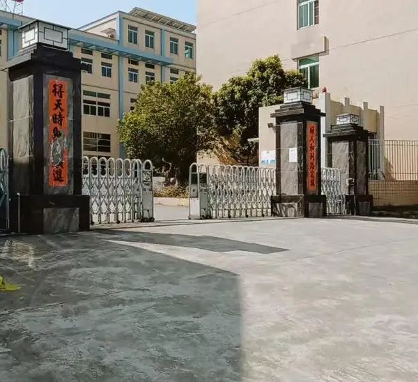 d59jn08j7dcc73dqjikg.webp