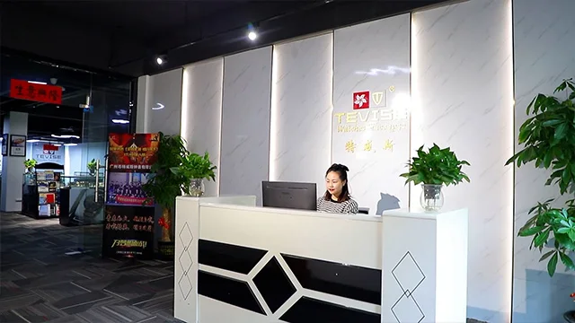 Guangzhou Tallwise Watch Co. Ltd. Mechanical Watch