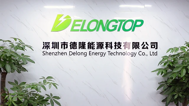 Shenzhen Delong Energy Technology Co., Ltd. LiFePO4 Battery