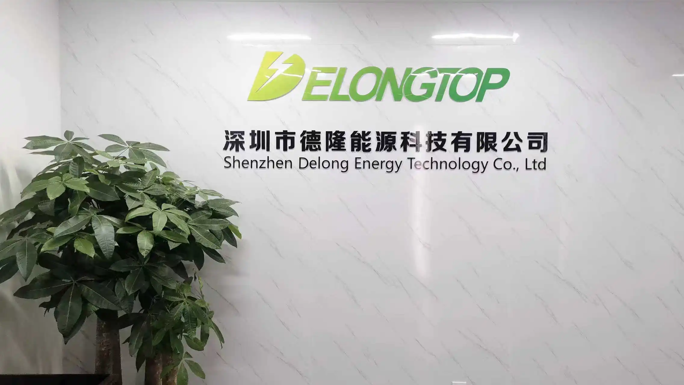 Shenzhen Delong Energy Technology Co., Ltd. LiFePO4 Battery