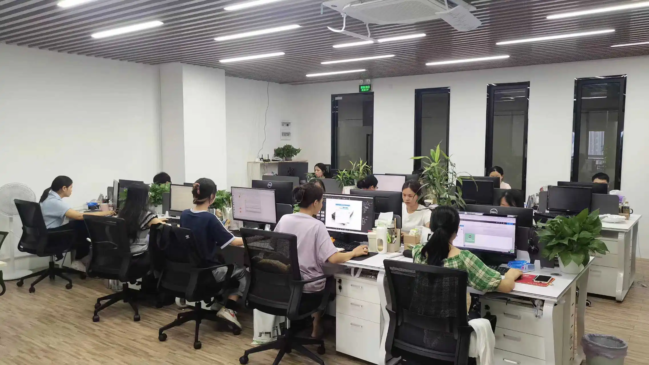 Shenzhen Delong Energy Technology Co., Ltd. Lithium Ion Battery Pack