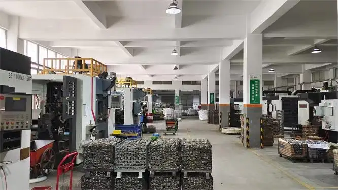 Zhejiang Lishui Technology Co., Ltd. Gas Valves