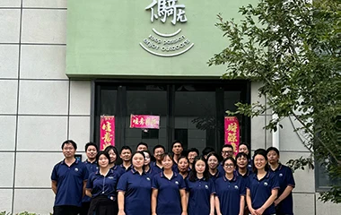 Henan Dingchen Outdoor Products Co., Ltd. Camping Stoves
