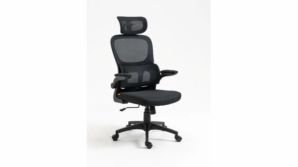 Anji Jifang Furniture Co., Ltd. Mesh Office Chair