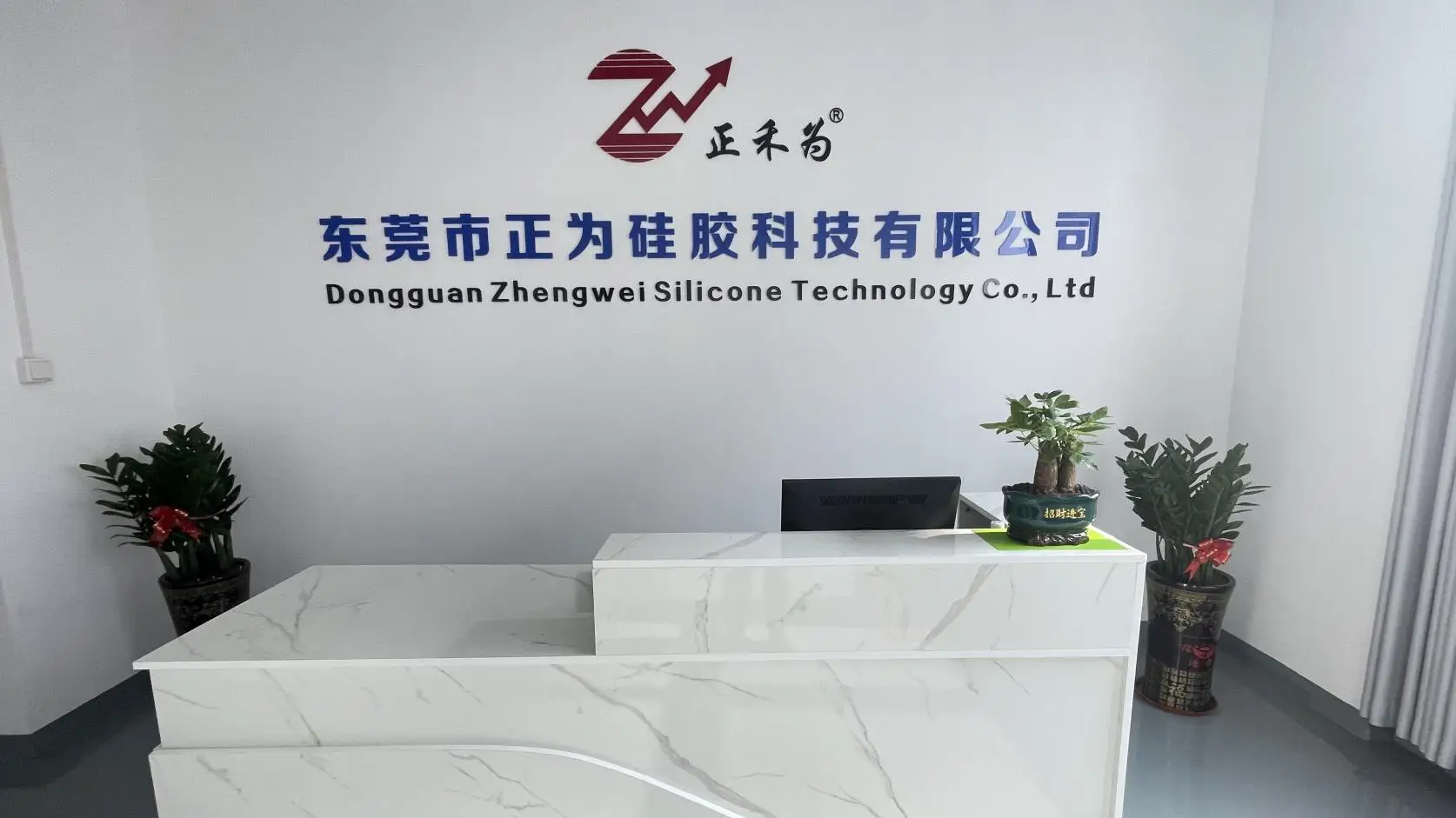 Dongguan Zhengwei Silicone Technology Co., Ltd. Silicone Remote Covers