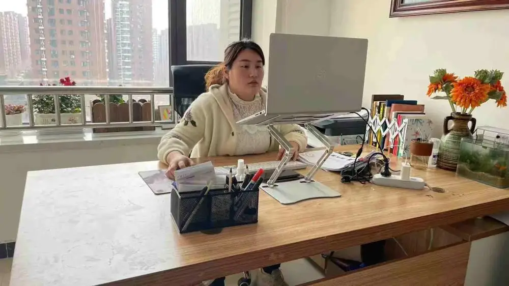 Beijing Kaidesheng Technology Development Co., Ltd. Electric Bike